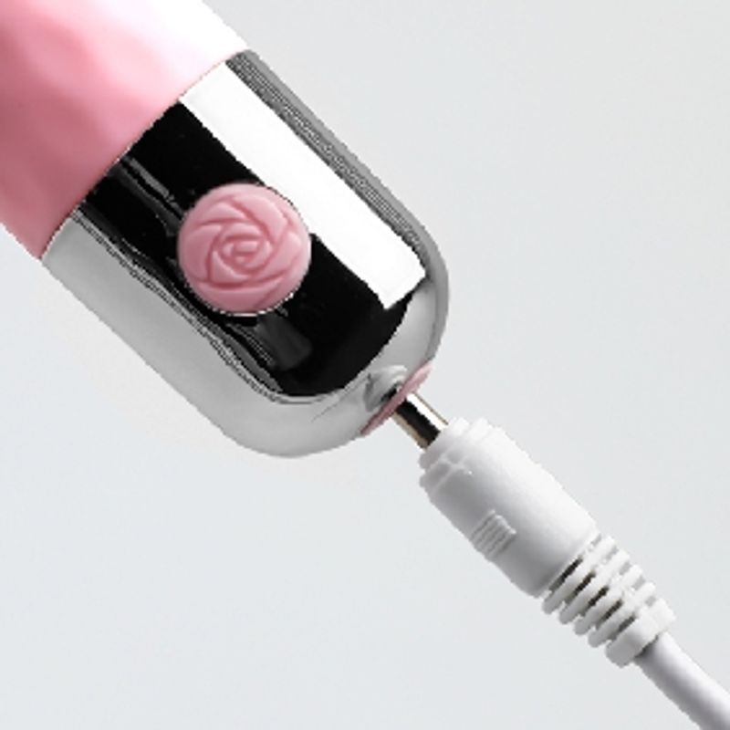 BULLET - 10 SPEED - OPPLADNINGSBAR