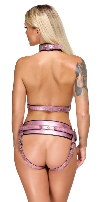 Harness Set - Rosa